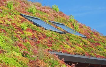 Colesden living roof systems